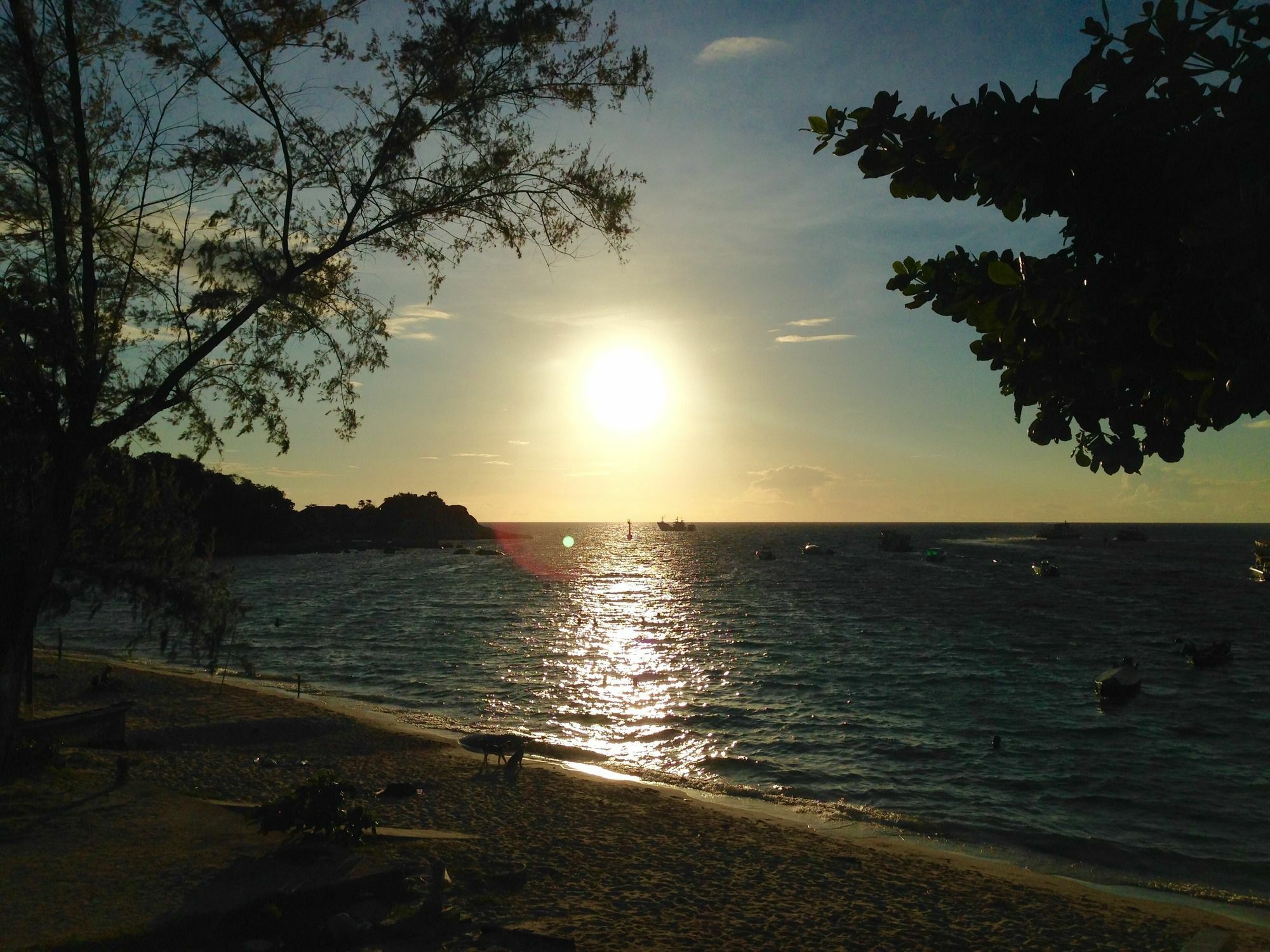 Coral View Studio Koh Tao Eksteriør billede